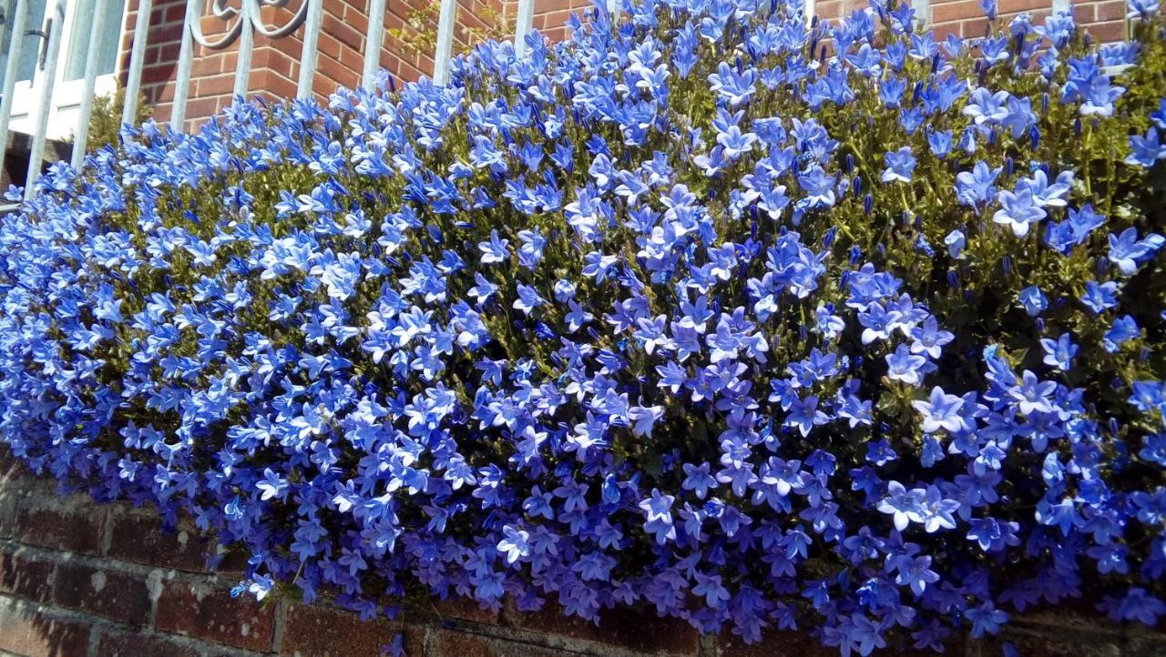 מלון ברידג'נד Lavender House מראה חיצוני תמונה